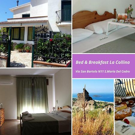 Bed and Breakfast La Collina à Santa Maria Del Cedro Extérieur photo